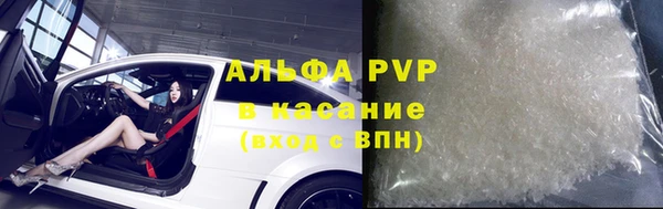 прущие грибы Абаза