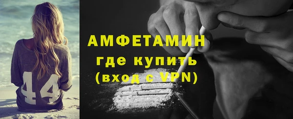 прущие грибы Абаза