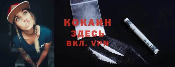 прущие грибы Абаза