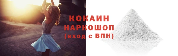прущие грибы Абаза