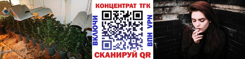дарнет шоп  маркетплейс наркотические препараты  Дистиллят ТГК Wax  Тырныауз 