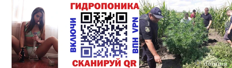 Каннабис White Widow  Тырныауз 